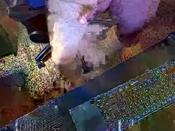Live show preview for onelargecock0615