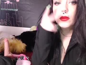 Live show preview for pleasantdinosaurus7537